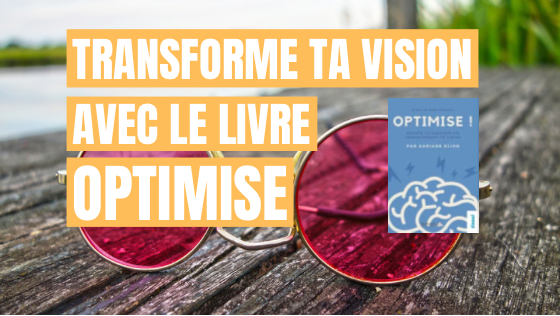 Transforme ta vision avec le livre : Optimise